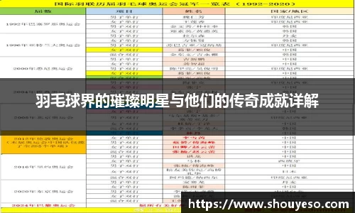 羽毛球界的璀璨明星与他们的传奇成就详解